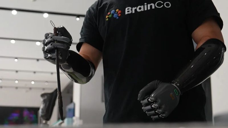 上海数据服务公司采购指南